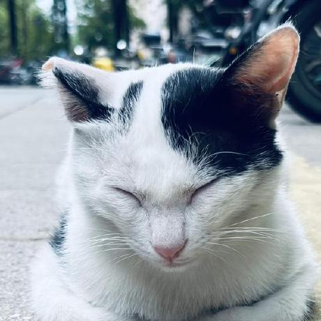 Barton Smith Abel - Artistic Desktop Mountain Designs | Free Download