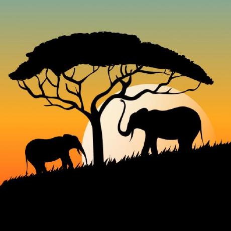 Me Elephants Github - Download Gorgeous Colorful Image | 4K