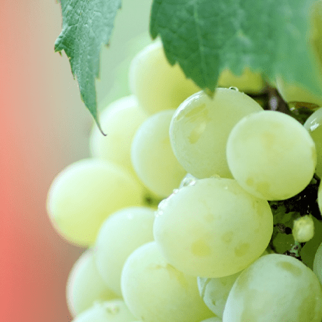 Github Magurock Eclipse Launcher Jp Eaglercraft Eclipse Launcher - Modern HD Geometric Wallpapers | Free Download