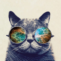 Releases Jfo8000 Scratchjr Desktop Github - Retina Sunset Textures for Desktop