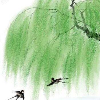 Github Werneror Earlang - Download Creative Colorful Design | High Resolution