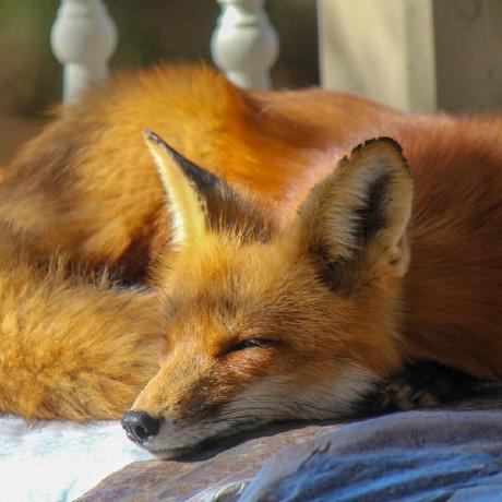 Oc Andy Barnett Github - Download High Quality Dark Wallpaper | Full HD