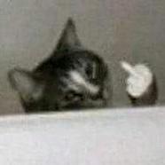 Natsuuuuuki Sunnyyy Suki Github - Nature Patterns - High Quality High Resolution Collection