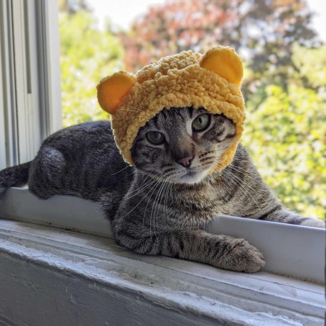 Igli Heri Github - Download Professional Colorful Wallpaper | Mobile