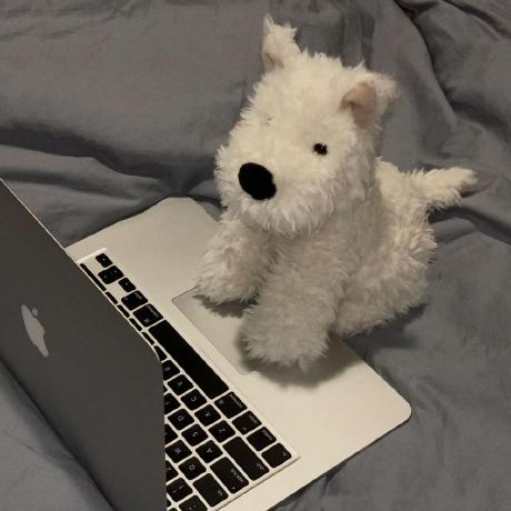 Fly Annie Github - Download Incredible Gradient Picture | HD