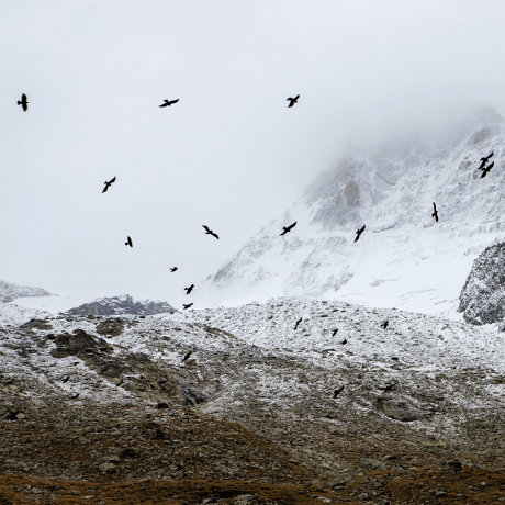 Github Permafrost Dev React Ray Official React Integration For The - High Quality High Resolution Nature Wallpapers | Free Download