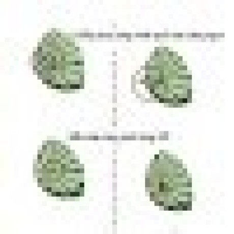 Duong Mdsol Nguyen Thai Duong Github - Best City Wallpapers in Full HD