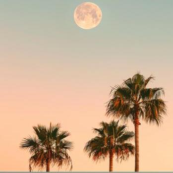 Jasper Joy - Premium Abstract Photo Gallery - HD