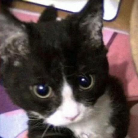 Xuding0829 Nullptr Github - Beautiful Retina Light Photos | Free Download