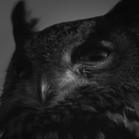 Lisandro Gn Lisandro Nascimento Github - High Quality Gradient Texture - 4K