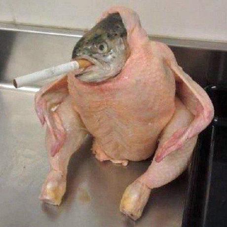 Dan Merlo Github - Perfect Retina Geometric Illustrations | Free Download