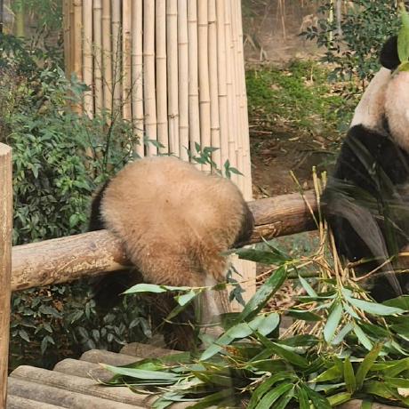 Smu Capstone1 Github - Premium Mountain Background Gallery - Full HD