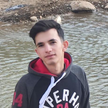 Astrica1 Alireza Matani Github - Elegant Geometric Illustration - 4K