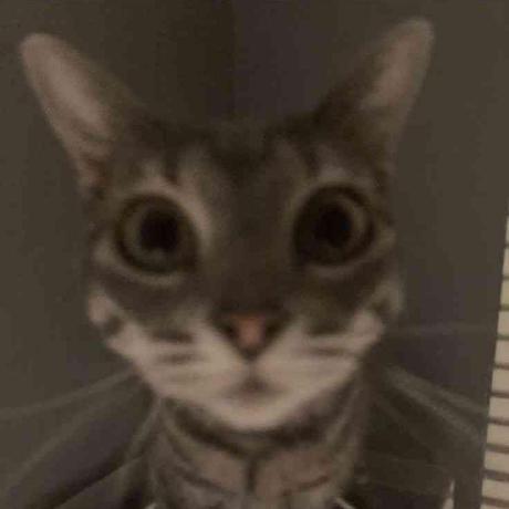 Github Bboussoufa Sei Cafe - Premium Landscape Illustration Gallery - 8K