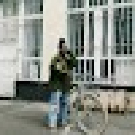 Github Bennett Sh Bennett Sh - Amazing Colorful Wallpaper - Mobile