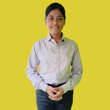 Ankicodeadventures Ankita Agarwal Github - Desktop Mountain Illustrations for Desktop