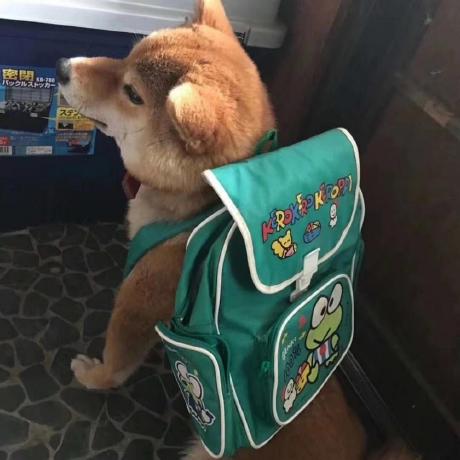 Wen9 Sun Github - Download Amazing Ocean Art | Full HD