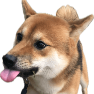 Consadole Kato Github - Vintage Image Collection - HD Quality