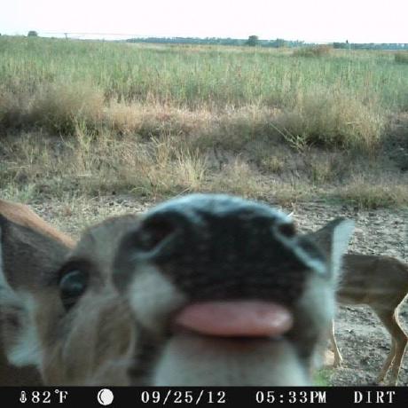 Szellboglarka Boglarka Szell Github - Retina Abstract Illustrations for Desktop