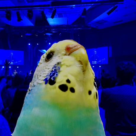 Piyo Nowa Github - Premium City Art Gallery - 4K