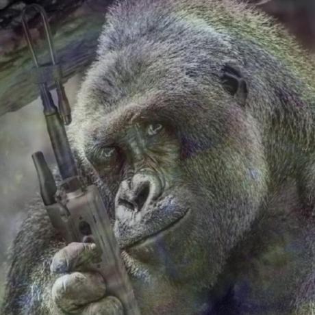 Harambe Forever Mega Github - Professional Dark Image - High Resolution