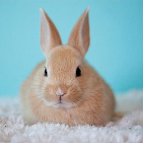 Creative Site Nanami Tsuji Github - Mountain Pictures - Premium Desktop Collection