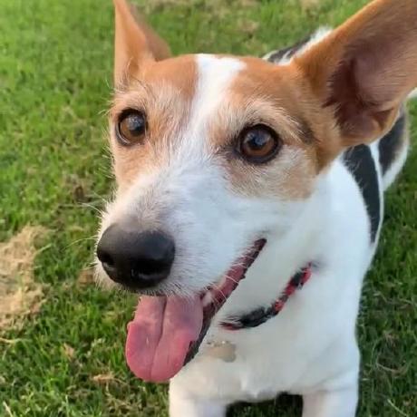 Pentana Eileen Github - Full HD Ocean Designs for Desktop