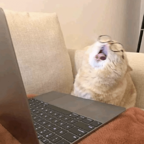 Kwon Jiyoon Github - Best Nature Wallpapers in High Resolution