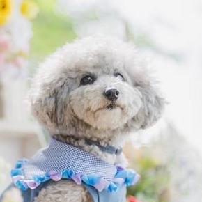 Kentem Ry Goto Github - Best Minimal Pictures in 4K