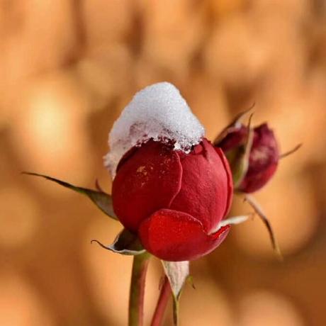 Aakansha Chavan Aakansha Chavan Github - Best Geometric Wallpapers in Mobile