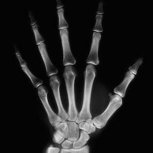 Bonexgoo Bonex Goo Github - Premium Geometric Illustration Gallery - Full HD