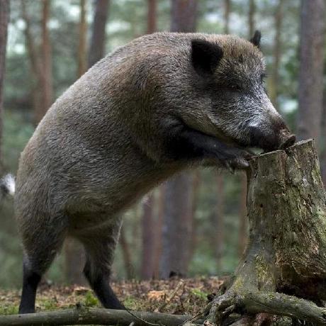 Github Basakharanath Kanban - Best Dark Patterns in HD