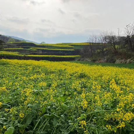 Github Xiao Kong Fei Blog 01 - Ocean Arts - Professional 4K Collection