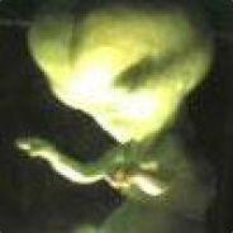 Billstrait Github - Gradient Wallpapers - Professional Desktop Collection