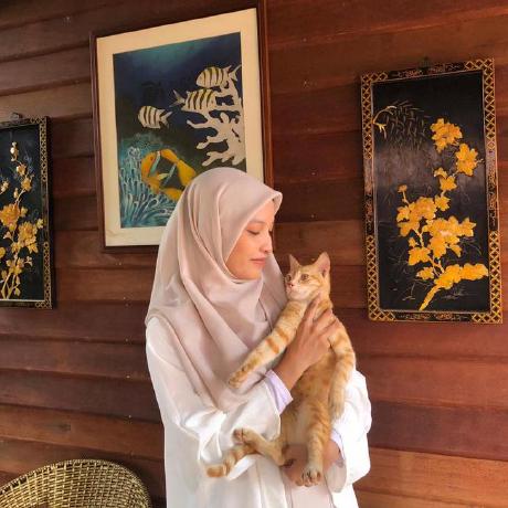 Dollydahlia Dahlia Github - Download High Quality Minimal Pattern | Mobile