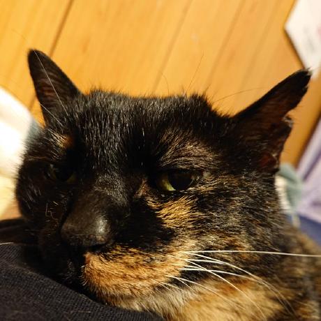 Github Pissarro Dev Ota - Creative City Art - Full HD