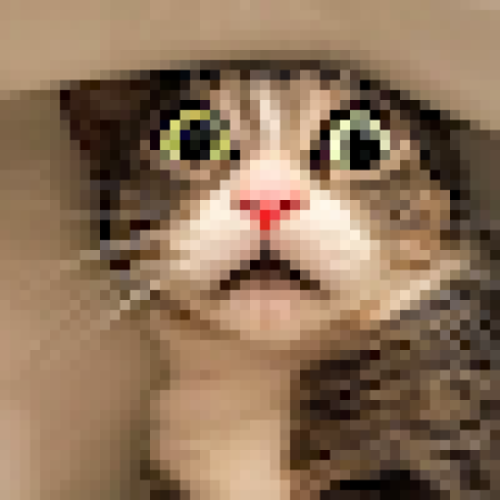 Github Arees777 Gato - Download Amazing Ocean Picture | High Resolution