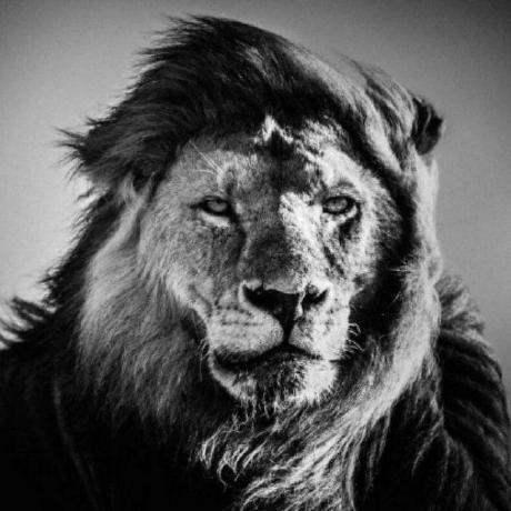 N Montana Github - Stunning Retina Light Wallpapers | Free Download