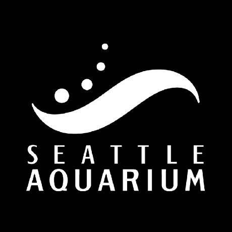 Github Delphi1004 Aquarium - Classic Mobile Minimal Designs | Free Download