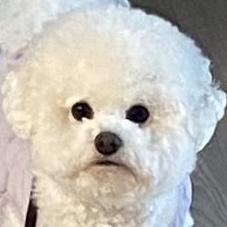 Github Stt Seah Devops - Best Geometric Wallpapers in Desktop