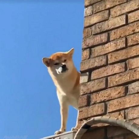 Github Knight Kkk Mpzrpc Mpzrpc A Muduo Protobuf Zookeeper Based - Best Vintage Illustrations in Mobile