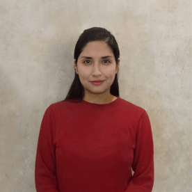 Lionalestevez Jose Estevez Github - Best Nature Patterns in Desktop