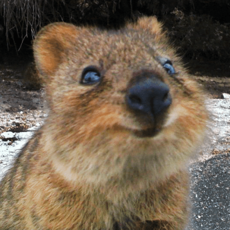 H01 Holger Github - Amazing High Resolution Colorful Textures | Free Download