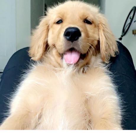 Rajamuppidi Raja Muppidi Github - Sunset Photo Collection - Retina Quality