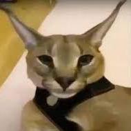 Tuniepie Luu Thanh Tung Github - Best Vintage Backgrounds in Mobile