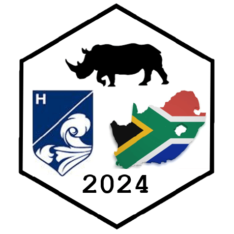 Haza Studios Github - Modern High Resolution City Illustrations | Free Download