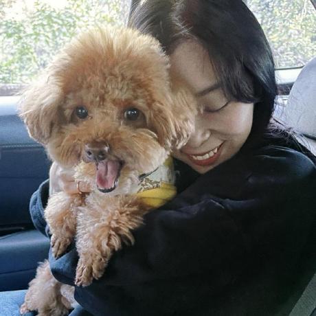 Github 15gk Charlotte - Modern 8K Vintage Wallpapers | Free Download