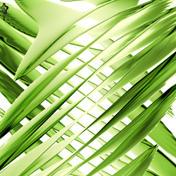 Github Odakento Hungry Chigusa Folder - Modern High Resolution Sunset Arts | Free Download