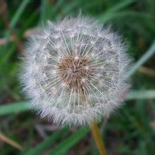 Github Chenyanxu Oa Parent - Abstract Design Collection - Mobile Quality