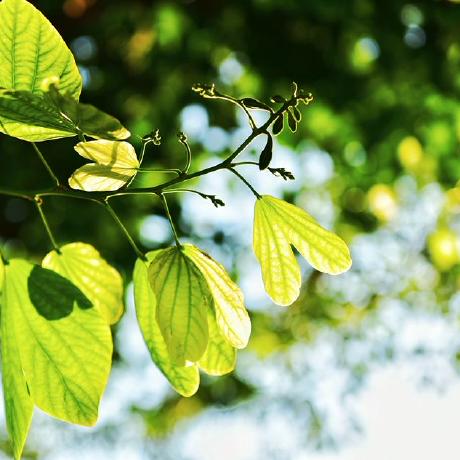 Skyduy Yujun Github - Best Gradient Backgrounds in Desktop